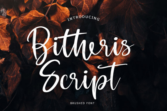 Bitheris Brush Handwritten Font for Elegant Branding
