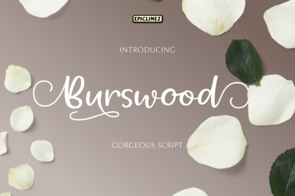 Burswood Typeface for Campaign Visuals