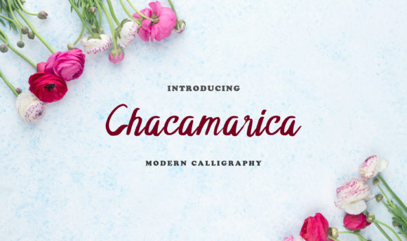 Chacamarica: The Elegant Handwritten Font for Editorial Design