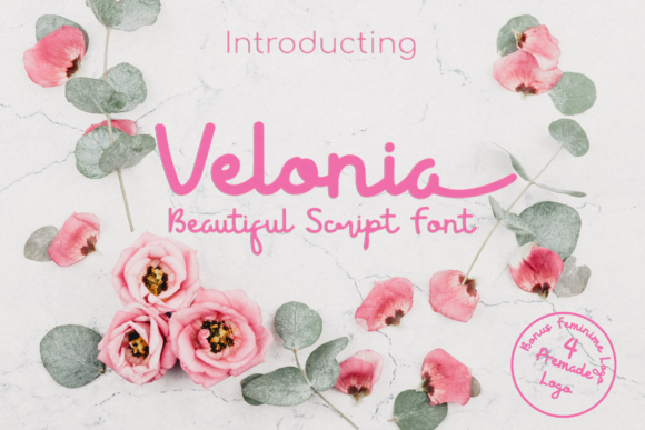 Velonia Script Handwritten Font for Romantic Branding